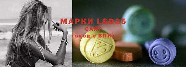 ГАЛЛЮЦИНОГЕННЫЕ ГРИБЫ Аркадак