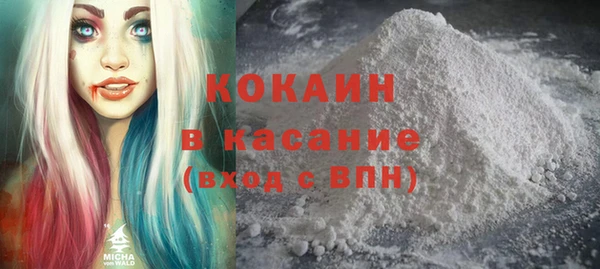ГАЛЛЮЦИНОГЕННЫЕ ГРИБЫ Аркадак